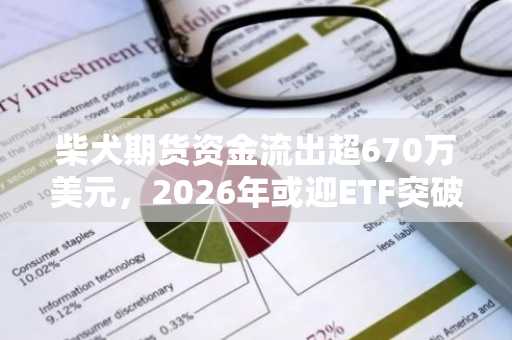 柴犬期货资金流出超670万美元，2026年或迎ETF突破机遇