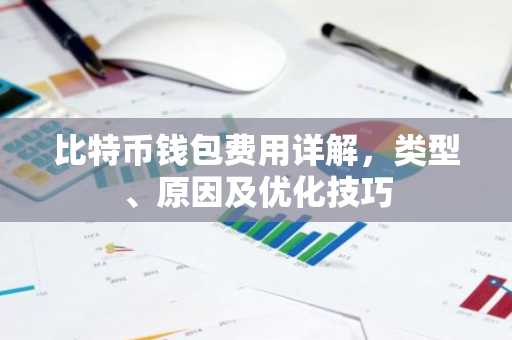 比特币钱包费用详解，类型、原因及优化技巧