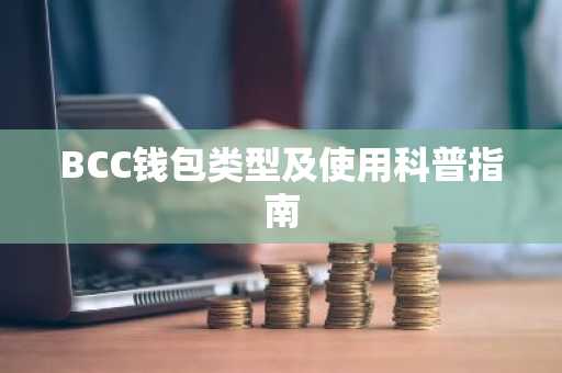 BCC钱包类型及使用科普指南