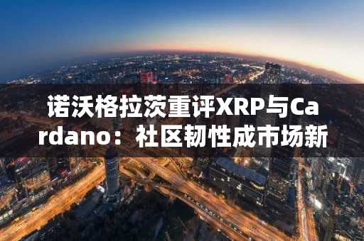 诺沃格拉茨重评XRP与Cardano：社区韧性成市场新标杆