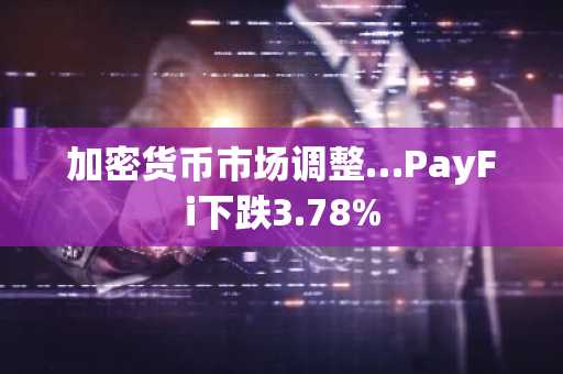 加密货币市场调整…PayFi下跌3.78%