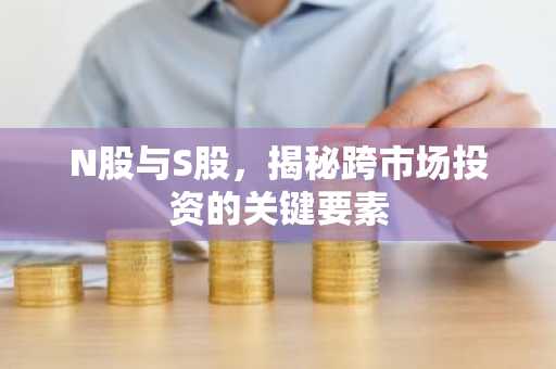 N股与S股，揭秘跨市场投资的关键要素