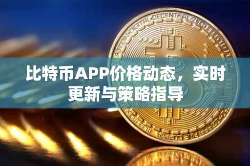 比特币APP价格动态，实时更新与策略指导