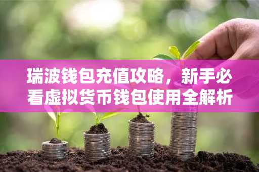 瑞波钱包充值攻略，新手必看虚拟货币钱包使用全解析