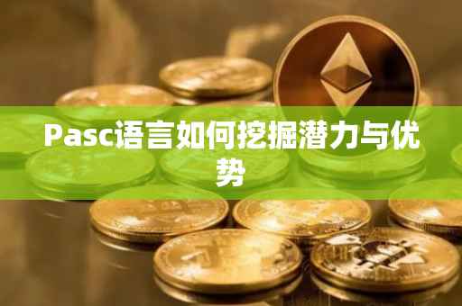 Pasc语言如何挖掘潜力与优势