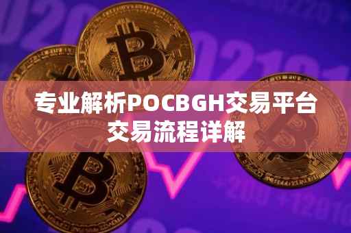 专业解析POCBGH交易平台交易流程详解