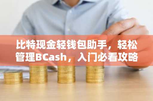比特现金轻钱包助手，轻松管理BCash，入门必看攻略