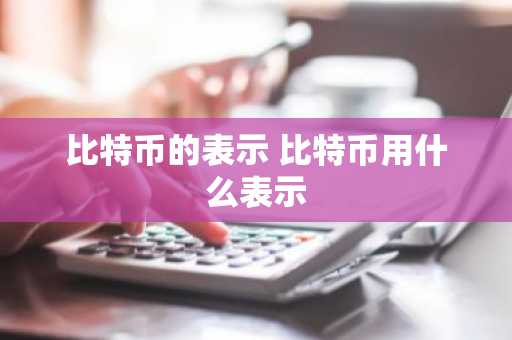 比特币的表示 比特币用什么表示