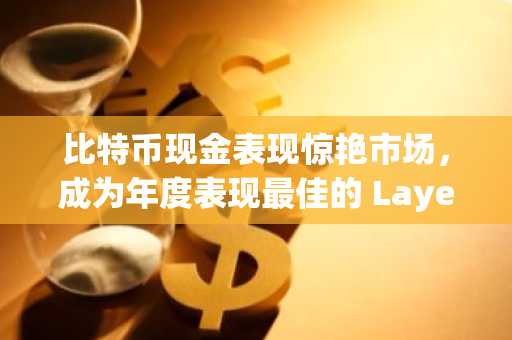 比特币现金表现惊艳市场，成为年度表现最佳的 Layer-1 代币。