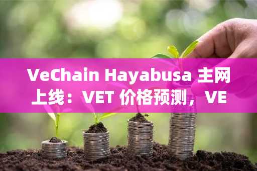 VeChain Hayabusa 主网上线：VET 价格预测，VET 加密货币形成双底