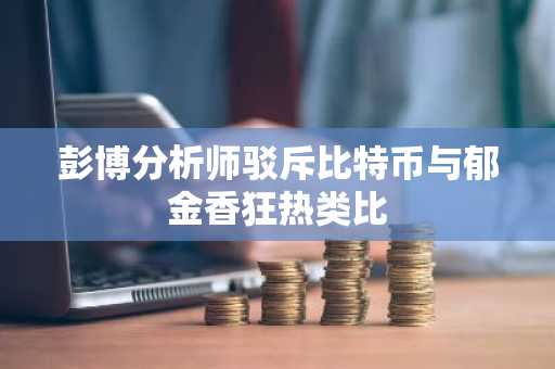 彭博分析师驳斥比特币与郁金香狂热类比