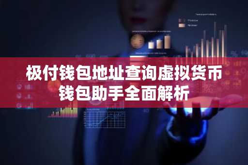 极付钱包地址查询虚拟货币钱包助手全面解析