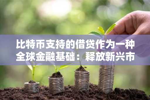比特币支持的借贷作为一种全球金融基础：释放新兴市场的收益和信贷潜力