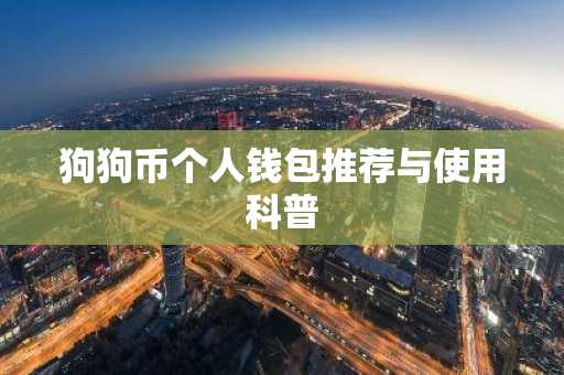 狗狗币个人钱包推荐与使用科普