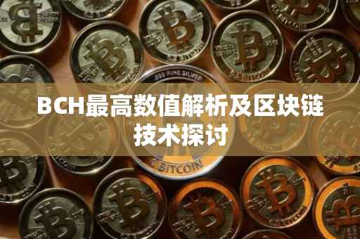 BCH最高数值解析及区块链技术探讨