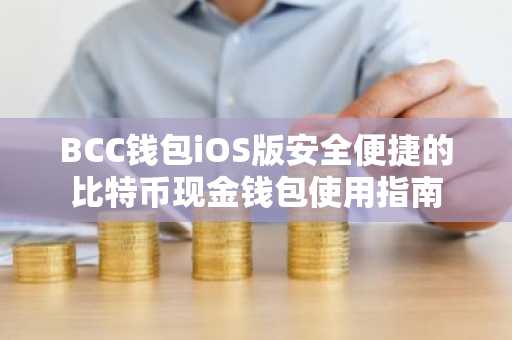 BCC钱包iOS版安全便捷的比特币现金钱包使用指南