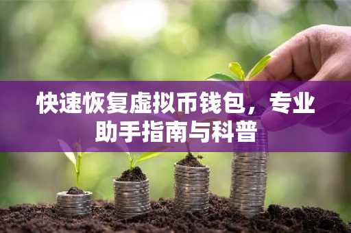 快速恢复虚拟币钱包，专业助手指南与科普