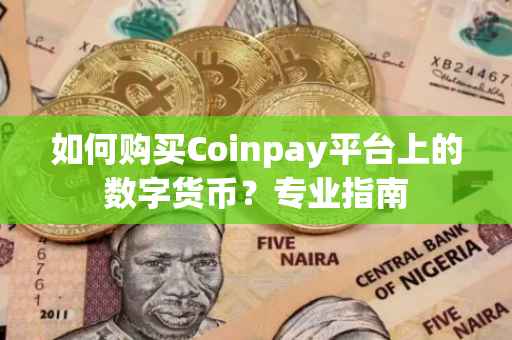 如何购买Coinpay平台上的数字货币？专业指南