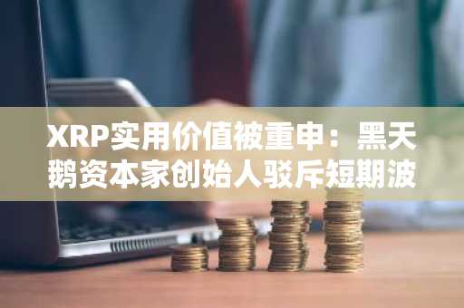 XRP实用价值被重申：黑天鹅资本家创始人驳斥短期波动焦虑