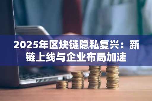 2025年区块链隐私复兴：新链上线与企业布局加速