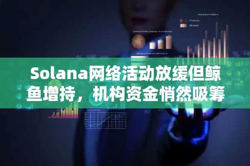 Solana网络活动放缓但鲸鱼增持，机构资金悄然吸筹