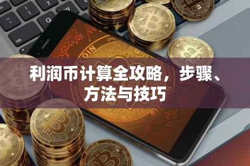 利润币计算全攻略，步骤、方法与技巧