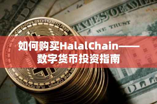 如何购买HalalChain——数字货币投资指南