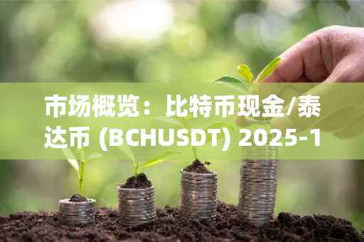 市场概览：比特币现金/泰达币 (BCHUSDT) 2025-12-07