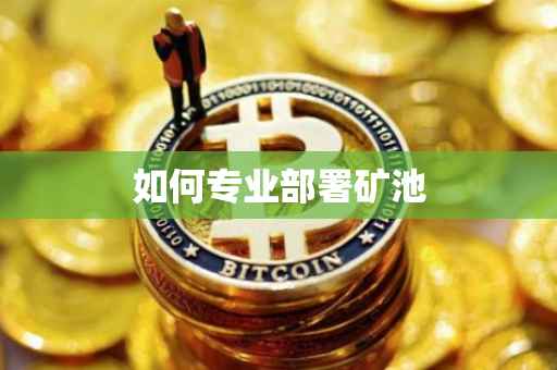 如何专业部署矿池