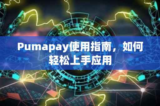 Pumapay使用指南，如何轻松上手应用