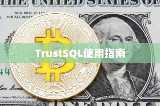 TrustSQL使用指南