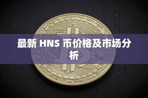 最新 HNS 币价格及市场分析