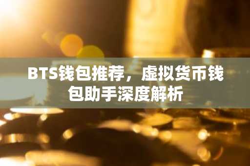 BTS钱包推荐，虚拟货币钱包助手深度解析
