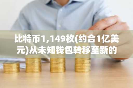 比特币1,149枚(约合1亿美元)从未知钱包转移至新的未知钱包