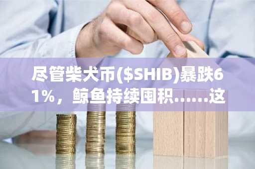 尽管柴犬币($SHIB)暴跌61%，鲸鱼持续囤积……这是“抄底”信号吗？