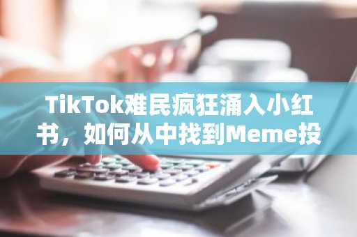 TikTok难民疯狂涌入小红书，如何从中找到Meme投资机会？