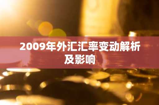 2009年外汇汇率变动解析及影响