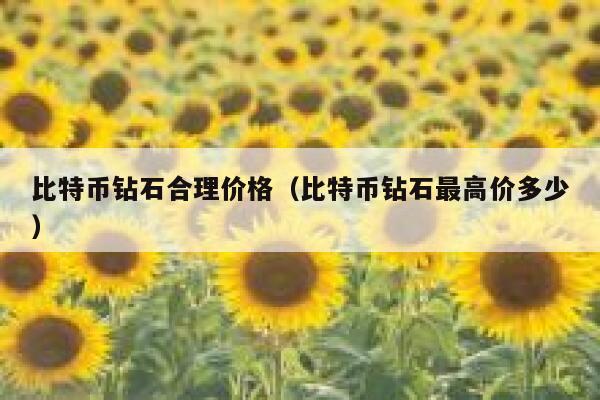 比特币钻石合理价格（比特币钻石最高价多少）