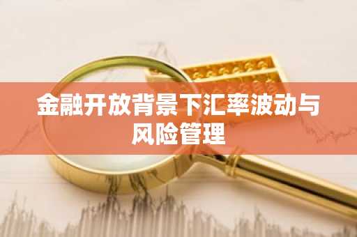 金融开放背景下汇率波动与风险管理