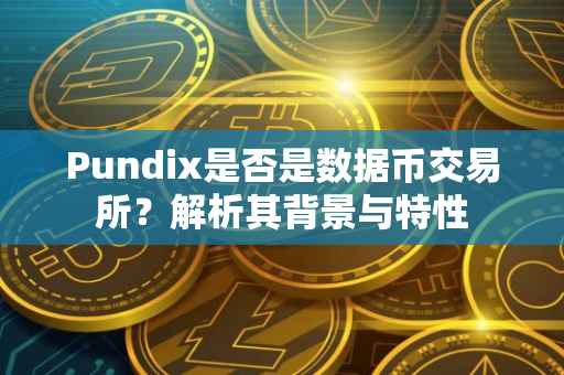 Pundix是否是数据币交易所？解析其背景与特性