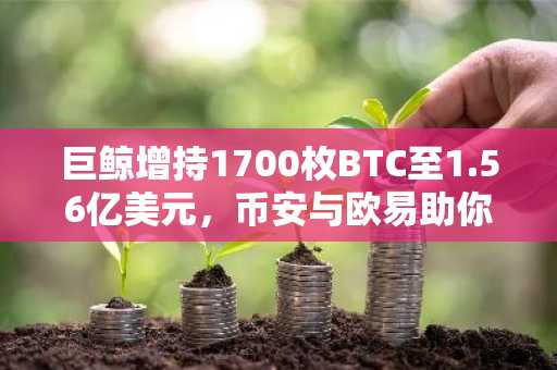 巨鲸增持1700枚BTC至1.56亿美元，币安与欧易助你把握市场趋势
