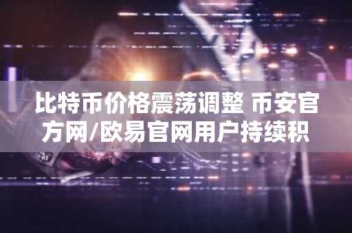 比特币价格震荡调整 币安官方网/欧易官网用户持续积累