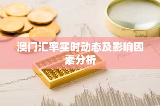 澳门汇率实时动态及影响因素分析