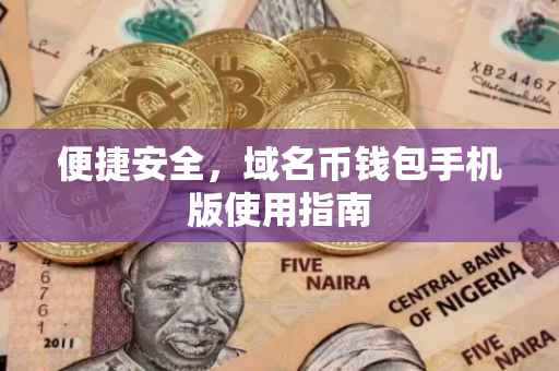 便捷安全，域名币钱包手机版使用指南