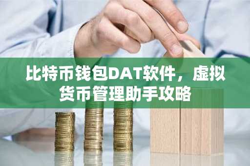 比特币钱包DAT软件，虚拟货币管理助手攻略