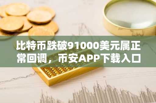 比特币跌破91000美元属正常回调，币安APP下载入口助你把握市场趋势