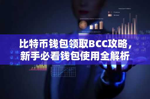 比特币钱包领取BCC攻略，新手必看钱包使用全解析