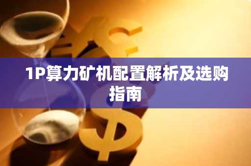 1P算力矿机配置解析及选购指南