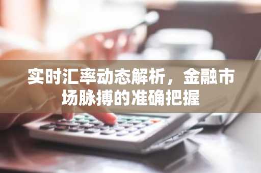 实时汇率动态解析，金融市场脉搏的准确把握