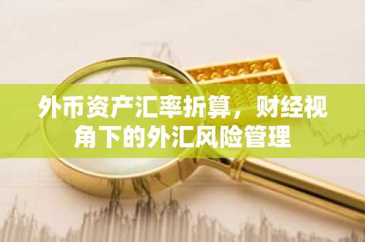 外币资产汇率折算，财经视角下的外汇风险管理